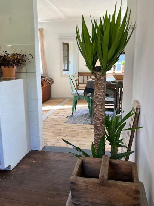 The Old Soap House - Stylish And Close To Beach Vang  Extérieur photo